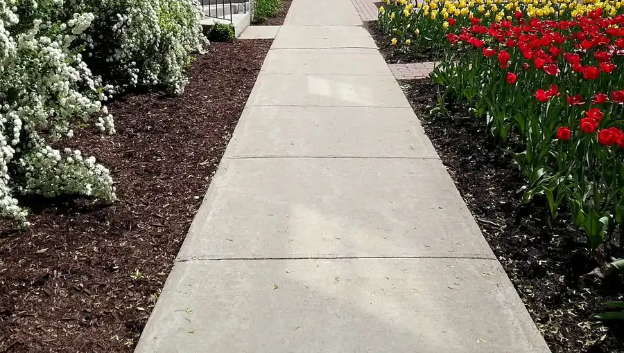 Steps Involved In Professional Concrete Sidewalk Repair in Monroe, NC Steps Involved In Professional Concrete Sidewalk Repair in Monroe, NC